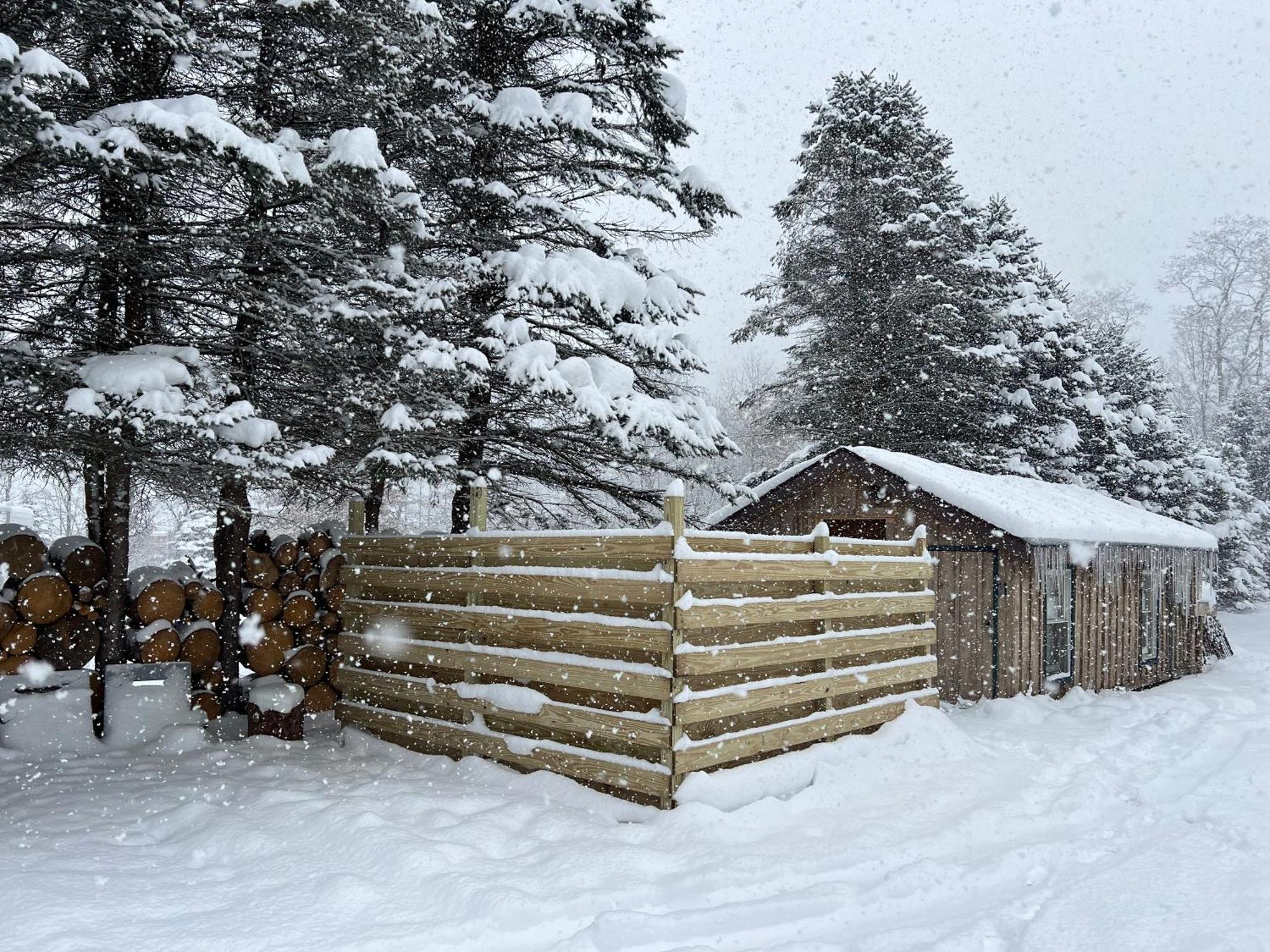אליקוטוויל Timberline Lodge מראה חיצוני תמונה